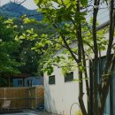 우드잇스테이 이미지