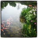 서운동산펜션 이미지