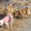 신암2농장 이미지