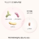 팜케어건강약국 이미지