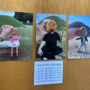 경주미소 | 황리단길 간식 경주 얼굴빵 후기, SNS용은 석굴암 얼굴빵이 정답!