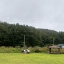 이목리 야구장 | 대구근교 무료 노지캠핑장 추천 낙동강 뷰 문경 야구장 솔직 후기