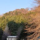 카페만디 이미지