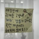 부평 네일샵 추천! 수수네일 이달의아트 젤네일 후기