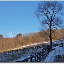 하늘목장 이미지