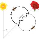 (동물 행동) 11. 꿀벌들의 춤 언어 이미지