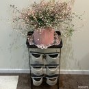 내손중앙로 | 의왕 피부관리 &#34;더맑은스킨 의왕내손점&#34; 스피룰리나 디톡스로 맑아진 피부 후기✨