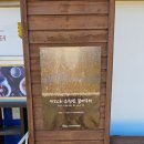 제26회 순천만 갈대축제(겨울) | 2025 순천만 갈대축제 11월 둘째 주 평일 순천만습지 방문 후기