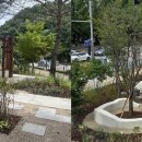 정원 이미지