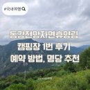 진산자연휴양림캠핑장 | 동강전망자연휴양림 캠핑장 1번 후기 예약 방법 명당 추천