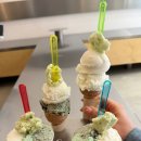 파파야안동점 | 🍦안동 필수 먹거리 6년 연속 블루리본 젤라또 맛집 아차가 ACHAGA🍦