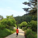 계곡의아침 이미지