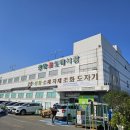 중앙공판장 | 양재 꽃시장 완벽 가이드｜위치, 운영시간, 꽃 가격, 주차 꿀팁 총정리