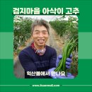 검지몰