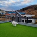 시밀레스테이 이미지