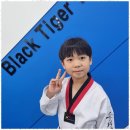 블랙 타이거 태권도장 이미지