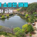 옥천 공인중개사사무소 이미지