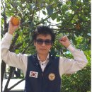 계수초교 이미지