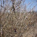 해마루농원 이미지