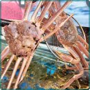 풍차횟집 이미지