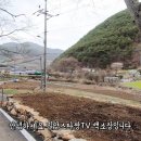 KN부동산중개 이미지