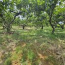 동읍스카이공인중개사사무소 이미지