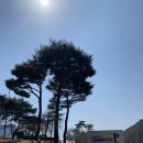 고창골프존 이미지