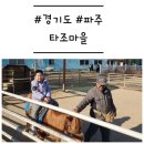 UR(파주시)-[교하로]-하-28 | [경기도/파주] '타조마을' 승마체험이 가능한 동물 농장 (할인정보)