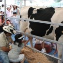 부대목장 이미지