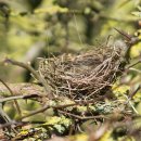 둥지한의원 이미지