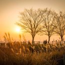 하늘공원 이미지