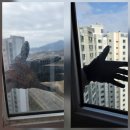 효임약품(주) | 효천대방