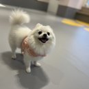 옐레드 동탄예당점 이미지