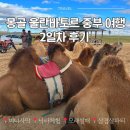 농촌체험코스(중부) | 몽골 9월 울란바토르 중부 여행 후기 2일차 코스-미니사막 모래썰매 낙타체험(ft.3박4일 패키지)