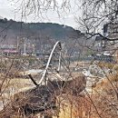 물고기의눈물이호수로 이미지