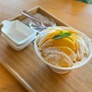 뽀르뽀라 | 제주 성산 카페 추천 애견동반 가능한 서귀포 애플망고빙수 맛집 뽀르뽀라카페