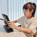 박 CARS | 초등 영어 레벨테스트 &amp; 초등화상영어 VIPKid 후기