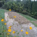 청류민박 이미지