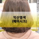 내머리어때미용실 이미지