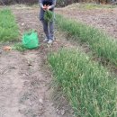 백낙제 플랫하우스 이미지