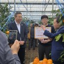 신부시장 이미지