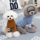 애견용품아울렛 이미지