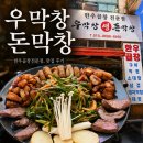 우막창돈막창 | 정왕동 막창 맛집 우막창돈막창 메뉴 가격 주차까지 내돈내산 후기