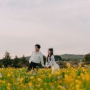 호텔뷰티풀 이미지