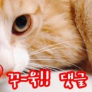 크레인pc방 이미지