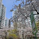 자이신성공인중개사사무소 이미지