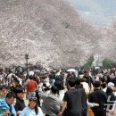 진해구 ⓒ-1 이미지