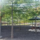 가야감고개공원작은도서관 이미지