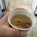 (주)목동강서자유여행사 | 목동다이어트 | 해독 다이어트 11주차 솔직후기