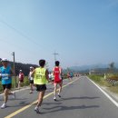 금산-06 Daum카페